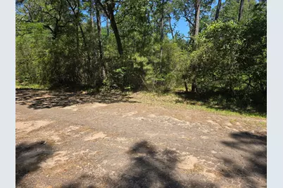 9102 Blue Lake Drive, Plantersville, TX 77363 - Photo 3