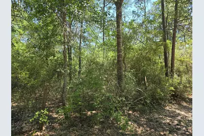 9102 Blue Lake Drive, Plantersville, TX 77363 - Photo 13