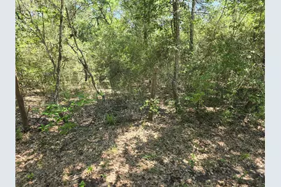 9102 Blue Lake Drive, Plantersville, TX 77363 - Photo 11