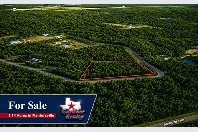 9102 Blue Lake Drive, Plantersville, TX 77363 - Photo 1
