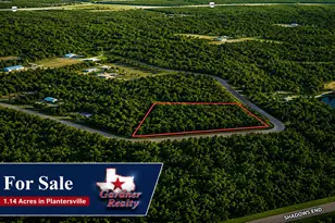 9102 Blue Lake Dr, Plantersville, TX 77363 - Photo 1