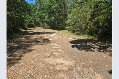 9102 Blue Lake Drive, Plantersville, TX 77363 - Photo 7
