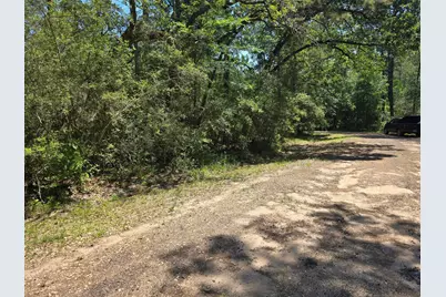 9102 Blue Lake Drive, Plantersville, TX 77363 - Photo 15