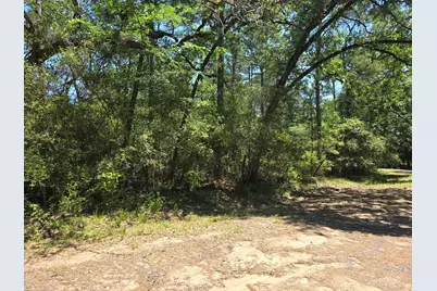 9102 Blue Lake Drive, Plantersville, TX 77363 - Photo 17