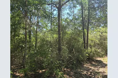9102 Blue Lake Drive, Plantersville, TX 77363 - Photo 13