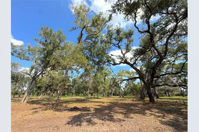 Lot 2 S F Austin, Freeport, TX 77541 - Photo 5