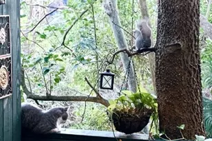 8225 Kingsbrook Rd, Houston, TX 77024 - Photo 9