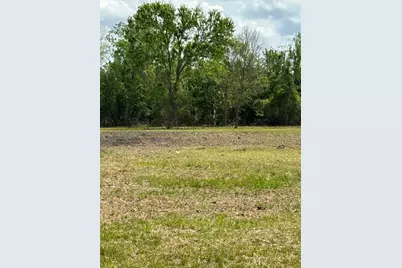 00 Saddle Drive, Pleak, TX 77461 - Photo 5