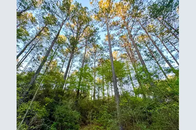 00 Copperleaf Road, Huntsville, TX 77340 - Photo 7