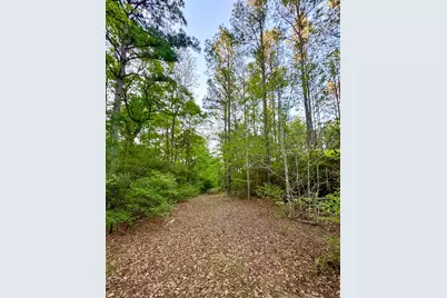 00 Copperleaf Road, Huntsville, TX 77340 - Photo 5