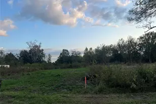 Tbd Farm To Market 1960, Dayton, TX 77535 - Photo 1