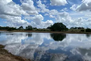 11088 Hwy 97 W Hwy, Cost, TX 78614 - Photo 5