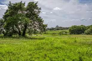 1518 Bluebonnet Ridge Dr, Chappell Hill, TX 77426 - Photo 1