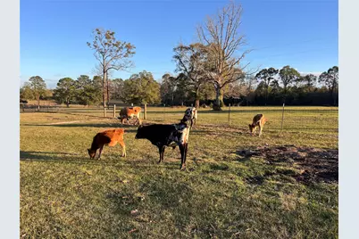 1799 Lilley Yeager Loop S, Cleveland, TX 77328 - Photo 37