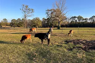 1799 Lilley Yeager Loop S, Cleveland, TX 77328 - Photo 37
