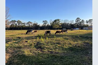 1799 Lilley Yeager Loop S, Cleveland, TX 77328 - Photo 43