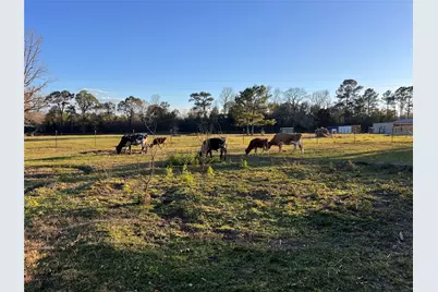 1799 Lilley Yeager Loop S, Cleveland, TX 77328 - Photo 43