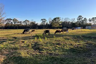 1799 Lilley Yeager Loop S, Cleveland, TX 77328 - Photo 43
