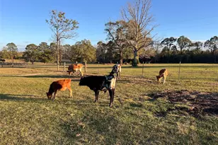 1799 Lilley Yeager Loop S, Cleveland, TX 77328 - Photo 37