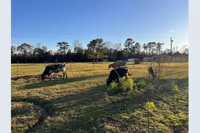 1799 Lilley Yeager Loop S, Cleveland, TX 77328 - Photo 47