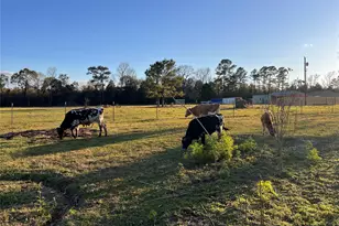 1799 Lilley Yeager Loop S, Cleveland, TX 77328 - Photo 47