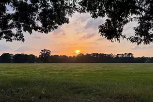 934 Jones Rd, New Waverly, TX 77358 - Photo 1