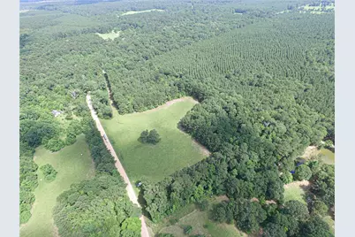 3524 Holly Grove Road, Livingston, TX 77351 - Photo 3