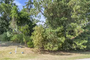 27919 Inspire Crest Ln, Spring, TX 77386 - Photo 13