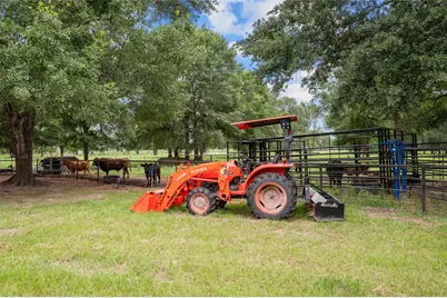 2790 Derby Lane, Madisonville, TX 77864 - Photo 17