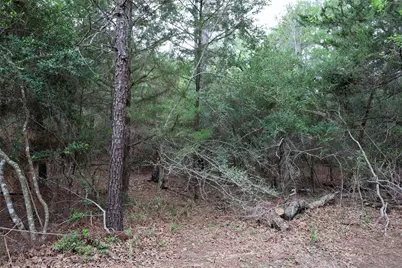 Tbd Red Fox Road, La Grange, TX 78945 - Photo 7