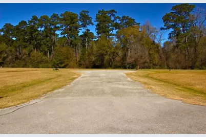 1 Wild Forest Court, Huntsville, TX 77340 - Photo 5