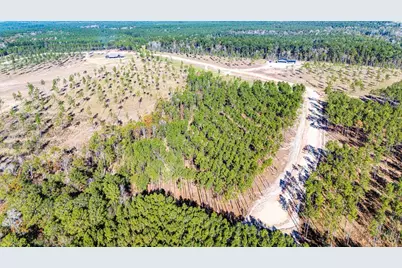 Lot 12 Big Buck Drive, Moscow, TX 75960 - Photo 5