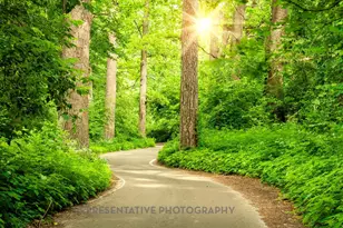575 Cypress Vly Ave, Montgomery, TX 77316 - Photo 21