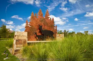 575 Cypress Vly Ave, Montgomery, TX 77316 - Photo 19