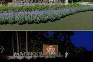 25443 Blossom Ct, Montgomery, TX 77316 - Photo 25