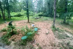 2485 Mangum Rd, Livingston, TX 77351 - Photo 17