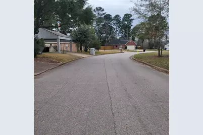 0 Maverick, Willis, TX 77378 - Photo 3