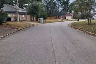 0 Maverick, Willis, TX 77378 - Photo 3