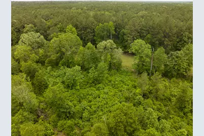 9388 Highway 105, Cleveland, TX 77327 - Photo 9