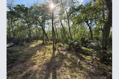 Tract 1 County Road 332, Sweeny, TX 77480 - Photo 1