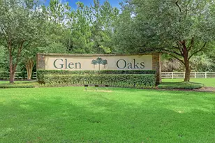 30606 Johnson Alley, Magnolia, TX 77355 - Photo 19