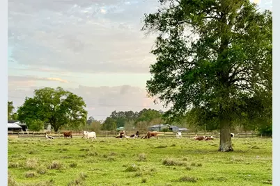 635 Texla Road, Vidor, TX 77662 - Photo 33