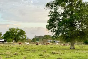 635 Texla Rd, Vidor, TX 77662 - Photo 33