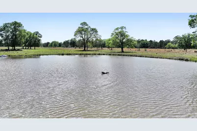 635 Texla Road, Vidor, TX 77662 - Photo 43