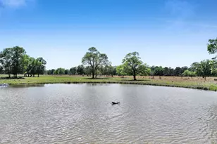 635 Texla Rd, Vidor, TX 77662 - Photo 43