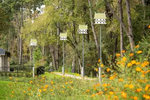 410 Audubons Shearwater Wy, Magnolia, TX 77354 - Photo 5