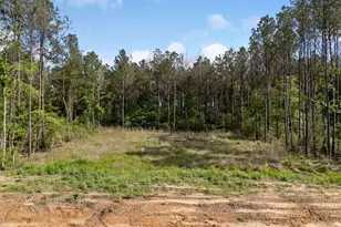 13648 Armstrong St, Conroe, TX 77303 - Photo 5