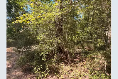 313 Pine Brook Drive, Montgomery, TX 77356 - Photo 33