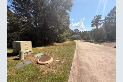 313 Pine Brook Drive, Montgomery, TX 77356 - Photo 7