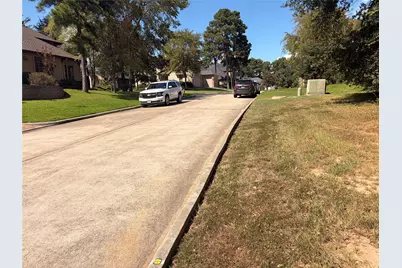 313 Pine Brook Drive, Montgomery, TX 77356 - Photo 17